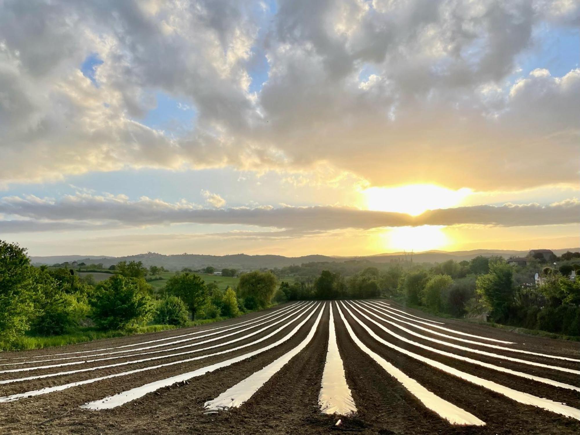Agriturismo Casaviva Pozzo  Екстериор снимка